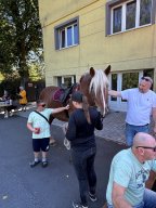 Úšovice se baví – 15. srpna 2026